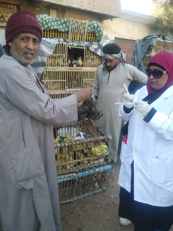بسوق الاربعاء بمدينة ادفو بسوق الاربعاء بمدينة ادفو