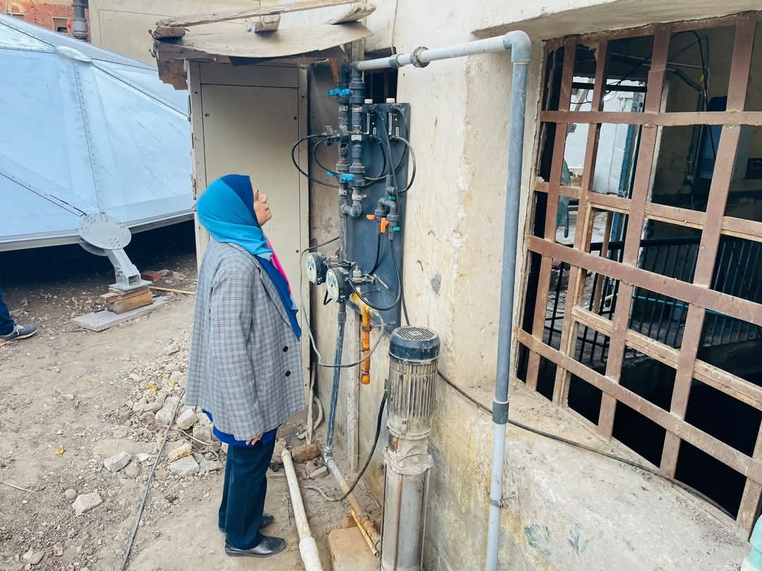 المهندسة دينا عمر