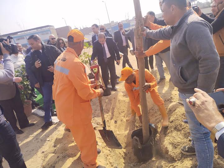 مشروع تشجير الطريق الدائري