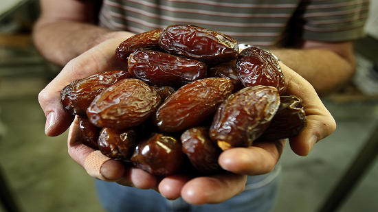 تمر أم على تمر أم على
