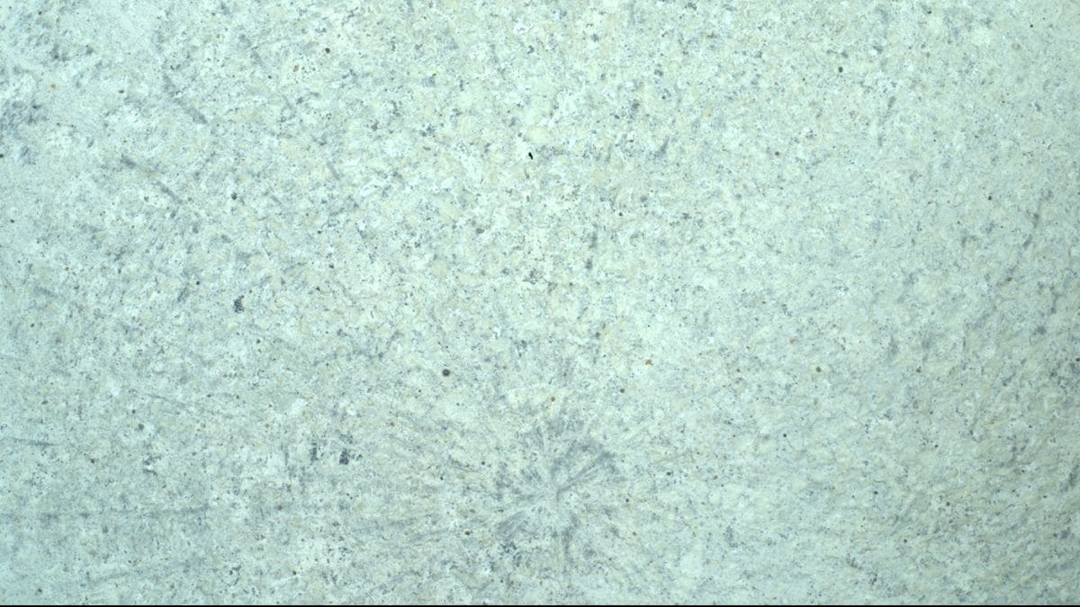 البحيرة البحيرة