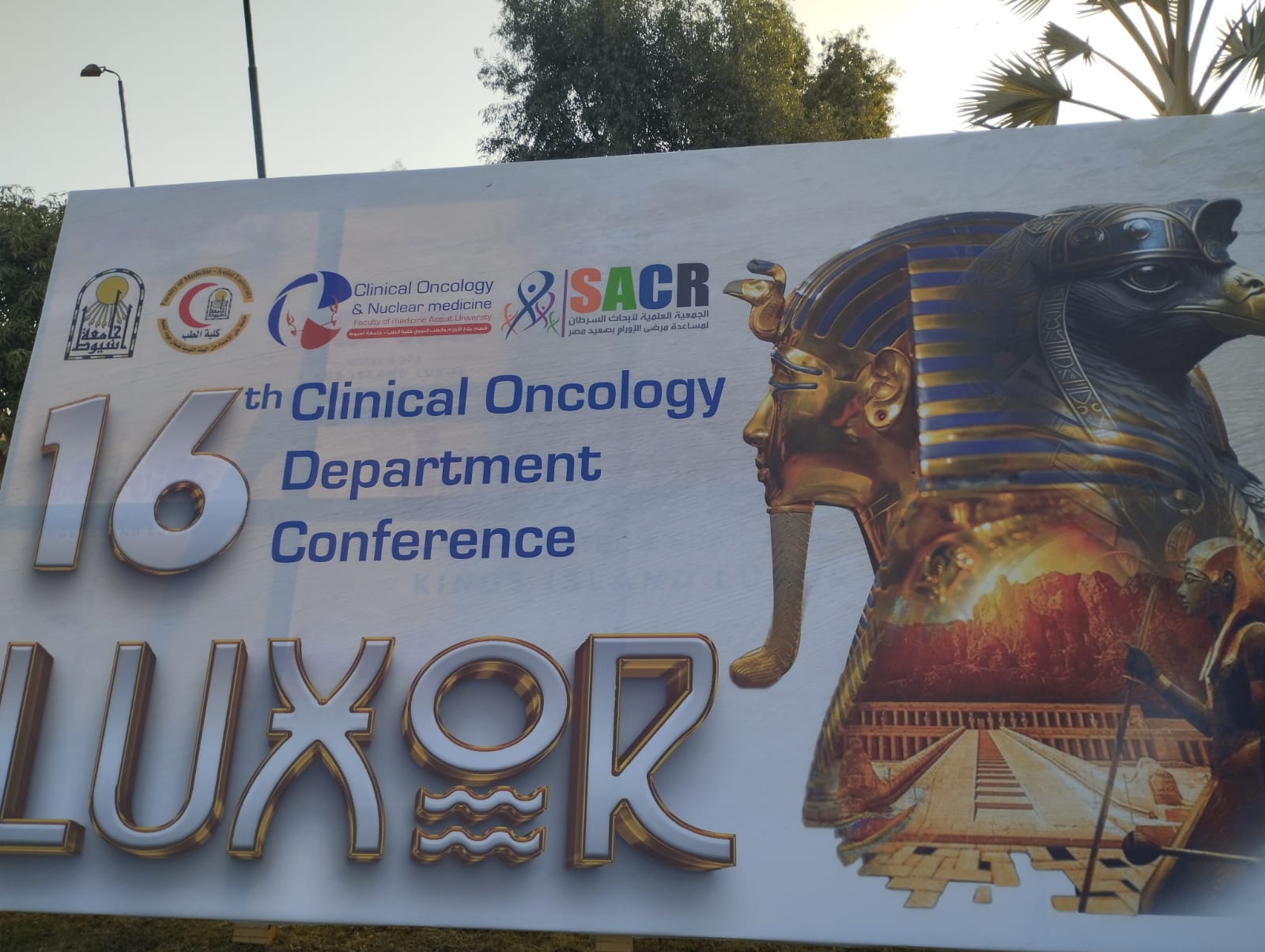 مؤتمر طب اسيوط مؤتمر طب اسيوط