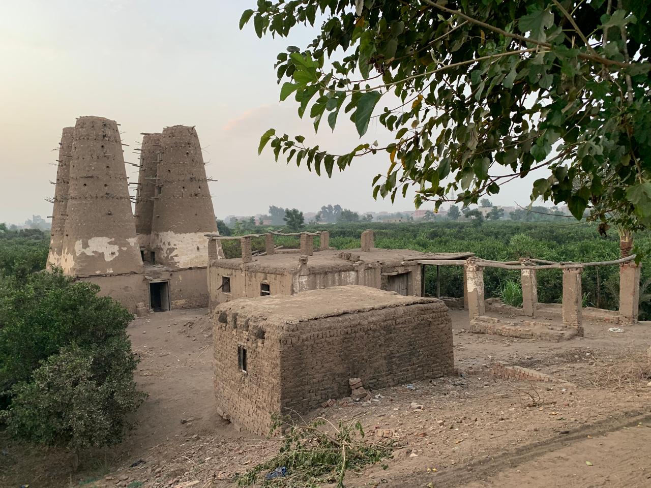 أبراج الحمام بالقرية (7)