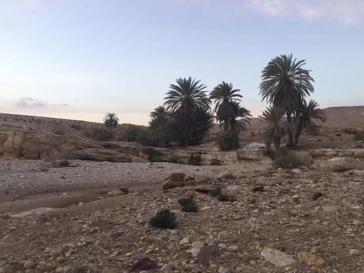 جبال سربال مزار الحجاج جبال سربال مزار الحجاج