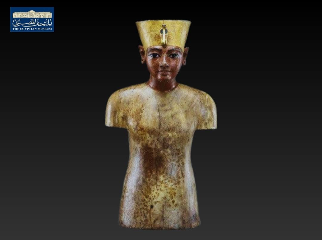 النموذج