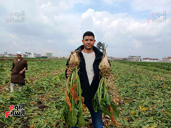 المهندس-محمد-عكرم،-مدير-الإدارة-الزراعية-بمنشاة-ابو-عمر