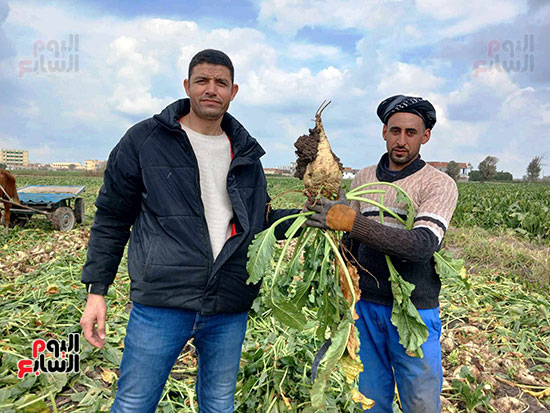 مدير-الإدارة-الزرعية-منشاة-ابو-عمر