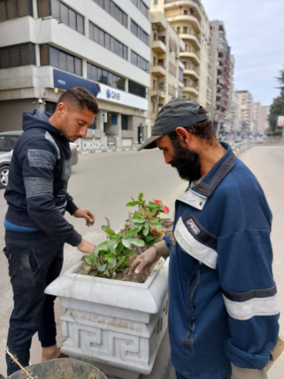 جانب من حملة حي شرق المنصورة جانب من حملة حي شرق المنصورة