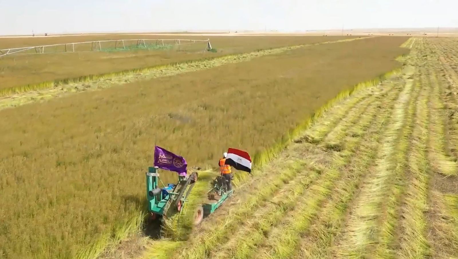 مشروع (7)