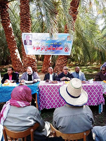 اعمال-اكبر-مبادرة-لمكافحة-سوسة-النخيل اعمال-اكبر-مبادرة-لمكافحة-سوسة-النخيل