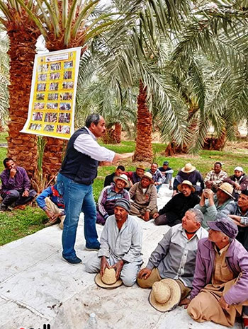 مدير-محطة-البحوث-الزراعية-يحاضر-للمزارعين- مدير-محطة-البحوث-الزراعية-يحاضر-للمزارعين-