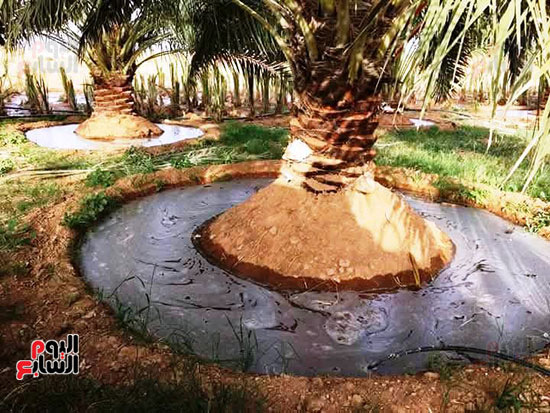 جانب-من-اعمال-المكافحة جانب-من-اعمال-المكافحة