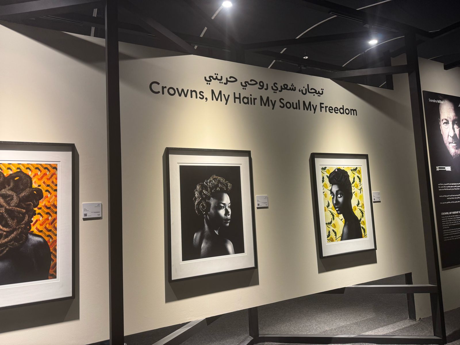 لوحات المصور الأمريكي ساندرو ميلر لوحات المصور الأمريكي ساندرو ميلر