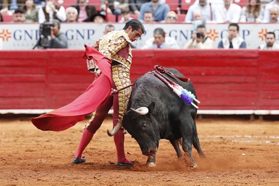 مصارعة الثيران المكسيكي إرنستو خافيير