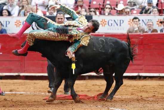 تعرض مصارع الثيران المكسيكي خوسيه ماوريسيو لهجوم من ثوره