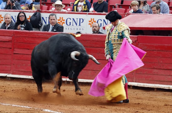 مصارعة الثيران مصارع الثيران المكسيكي خوسيه موريسيو