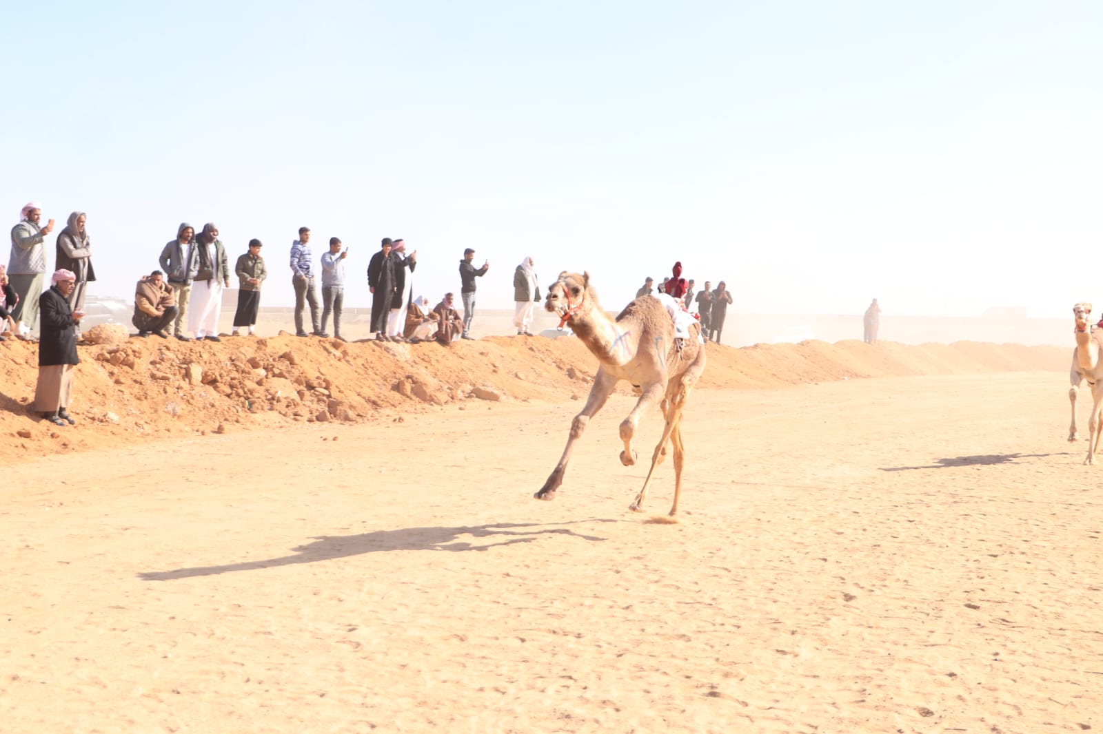 جانب من الاشواط جانب من الاشواط