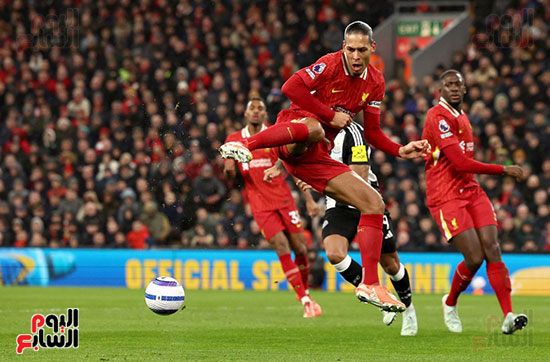 فان ديك فان ديك