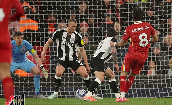 مباراة ليفربول ونيوكاسل مباراة ليفربول ونيوكاسل