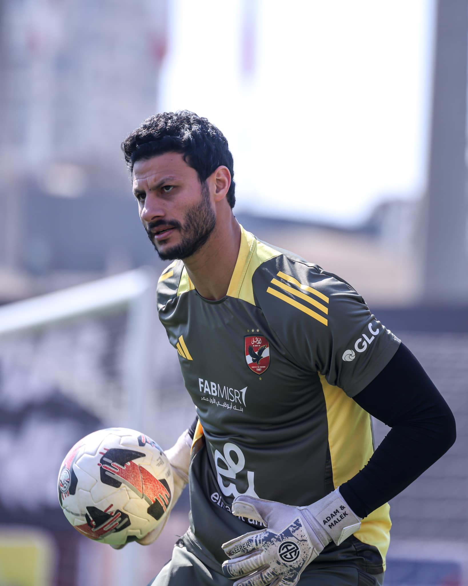 الشناوي الشناوي