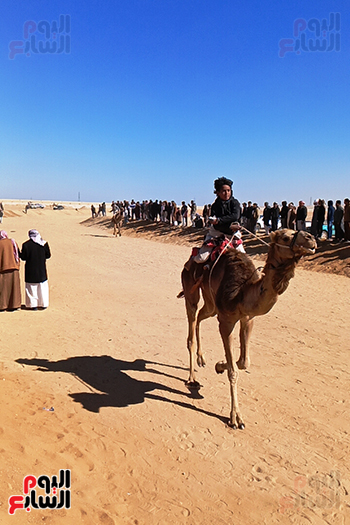 جانب-من-السباق جانب-من-السباق