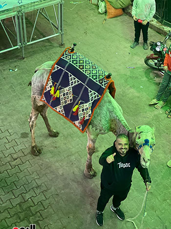 أهالى-البراجيل أهالى-البراجيل