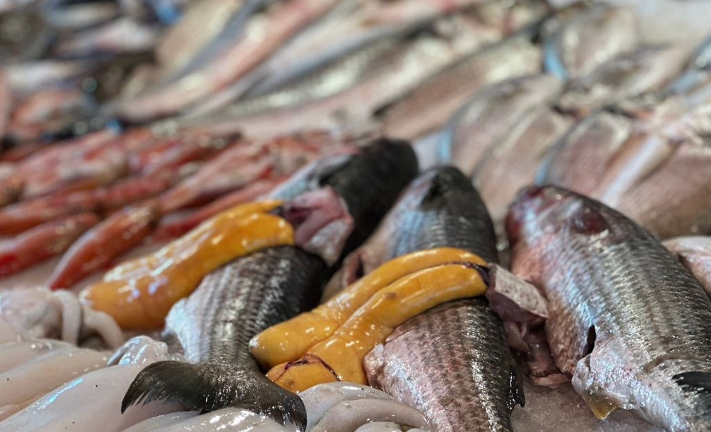 البطارخ في سوق محافظة بورسعيد