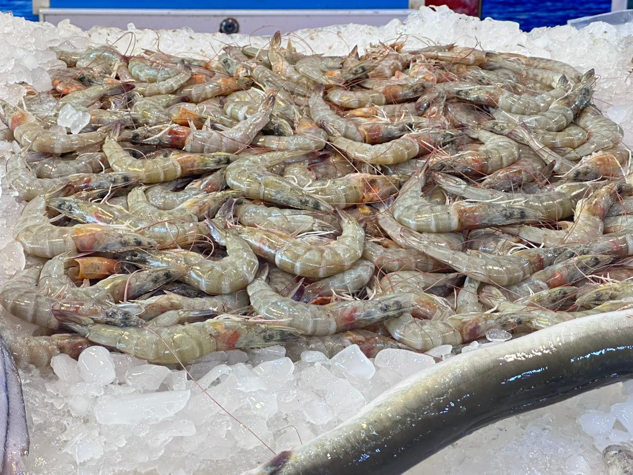 الجمبري في سوق بورسعيد