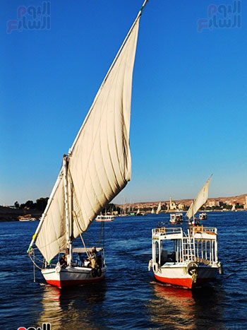 المراكب-فى-النيل-بأسوان
