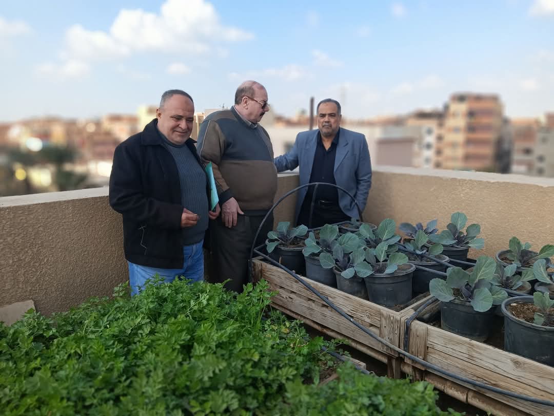 زراعة الأسطح فى بنى سويف