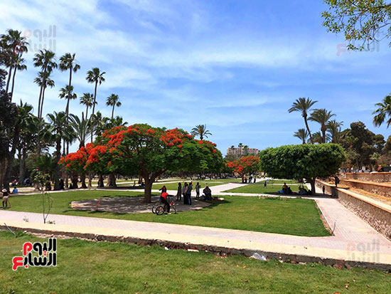 جمال-حديقة-انطونيادس-وسط-اقبال-الاهالى جمال-حديقة-انطونيادس-وسط-اقبال-الاهالى