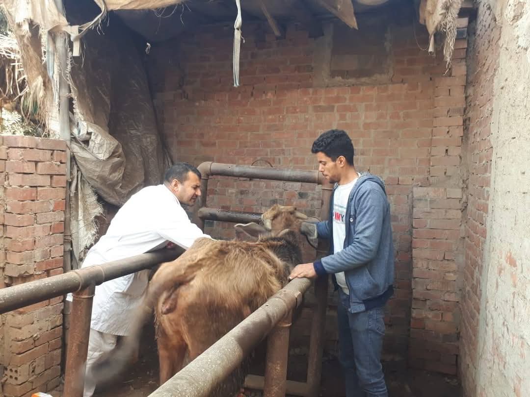 من القافلة البيطرية