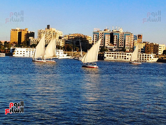 المراكب-فى-النيل