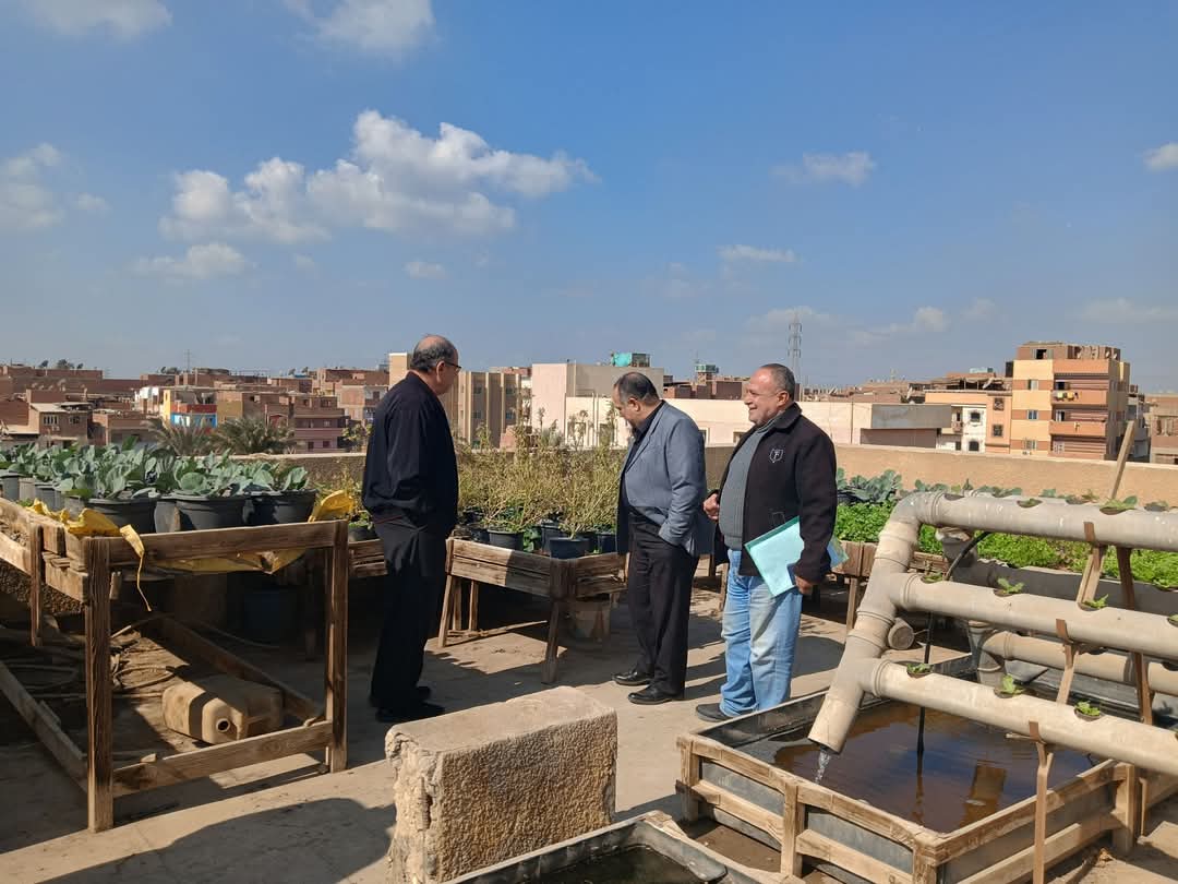 زراعة أسطح مديرية الزراعة