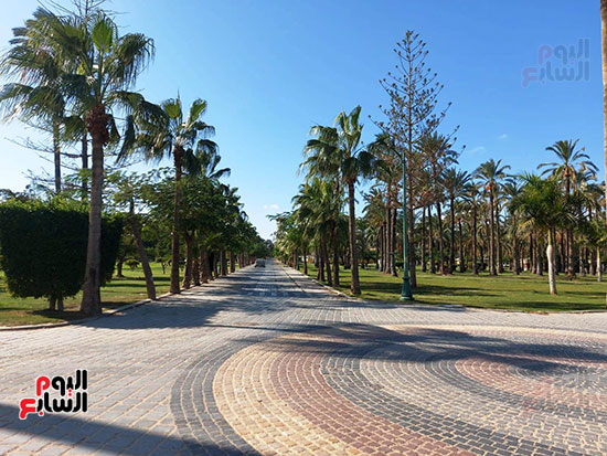 المنتزة-مساحات-ساشعة-خضراء المنتزة-مساحات-ساشعة-خضراء