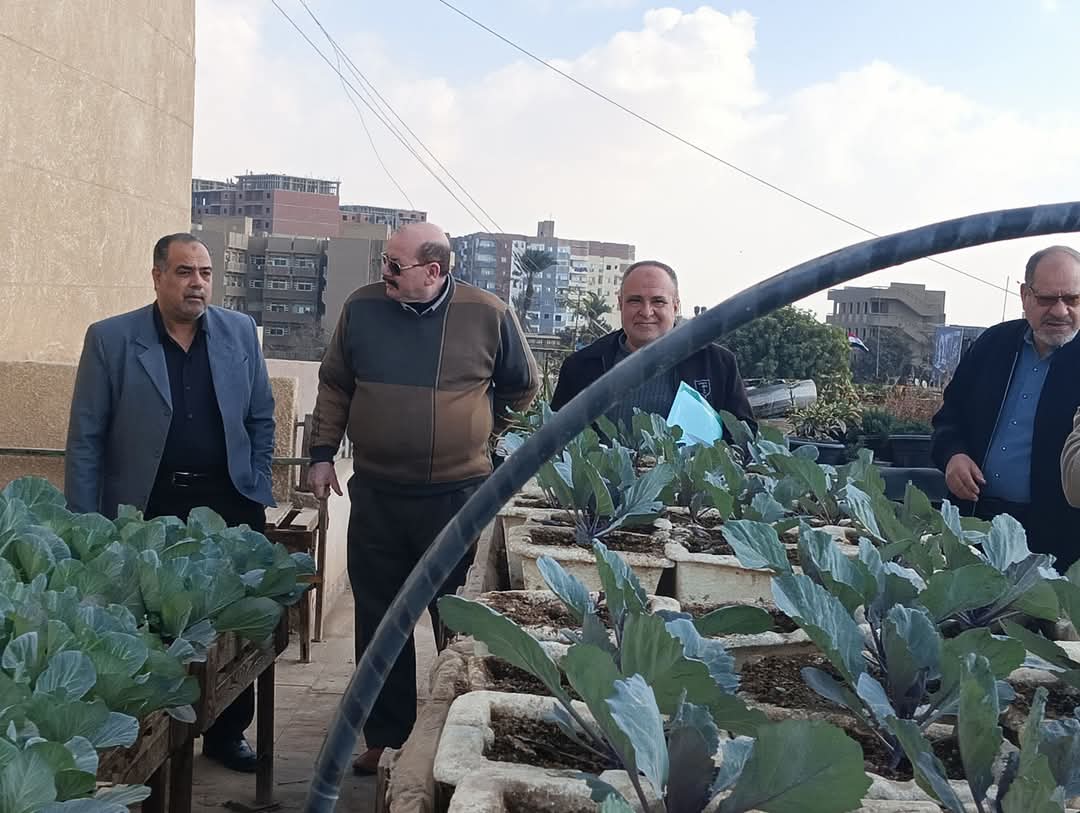 زراعة الأسطح