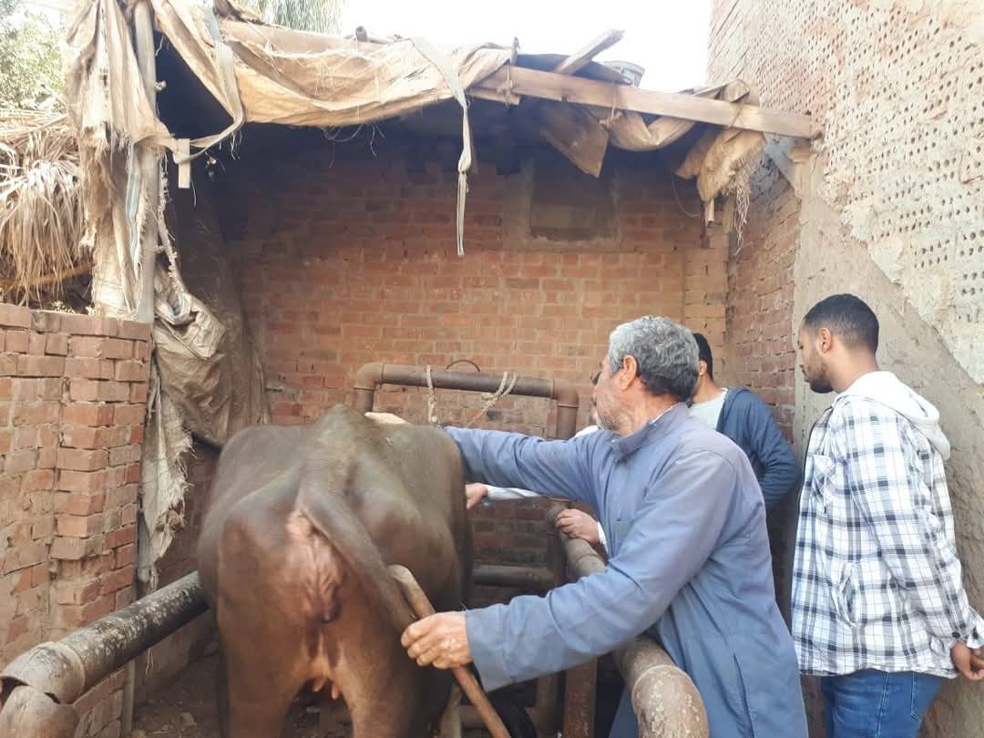 جانب من فعاليات القافلة