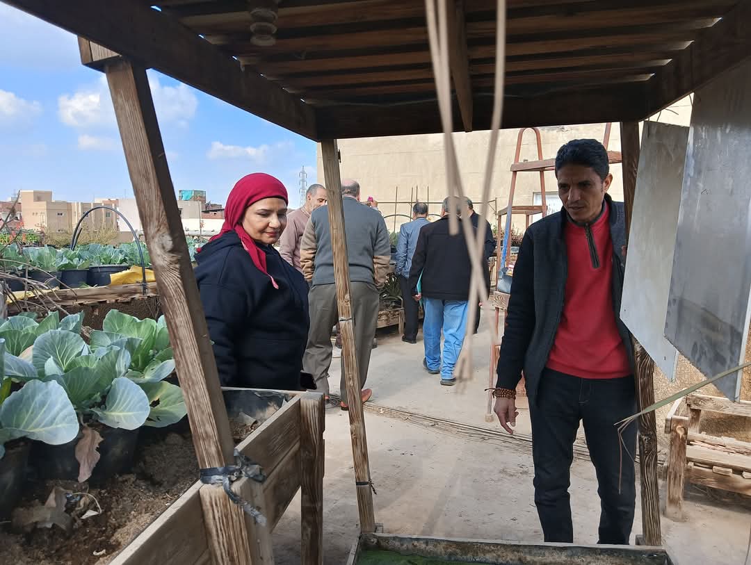 مبادرة زراعة الأسطح