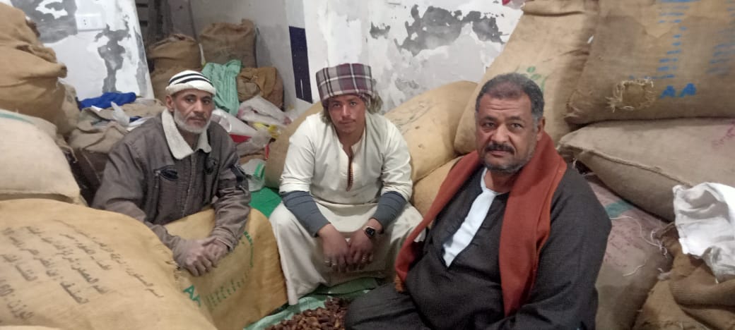 حرص الثعايدة على جلب العديد من أنواع التمور لبيعها بكفر الشيخ حرص الثعايدة على جلب العديد من أنواع التمور لبيعها بكفر الشيخ