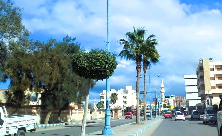 طقس بارد وخلو شوارع مطروح من المارة طقس بارد وخلو شوارع مطروح من المارة