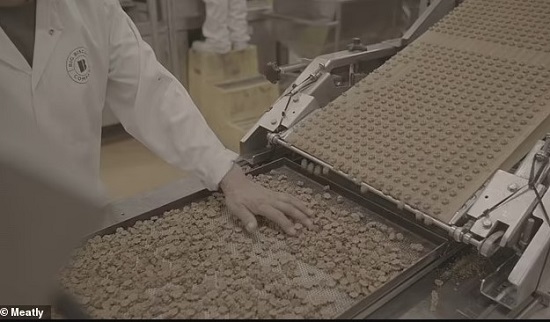 تحضير طعام الكلاب تحضير طعام الكلاب