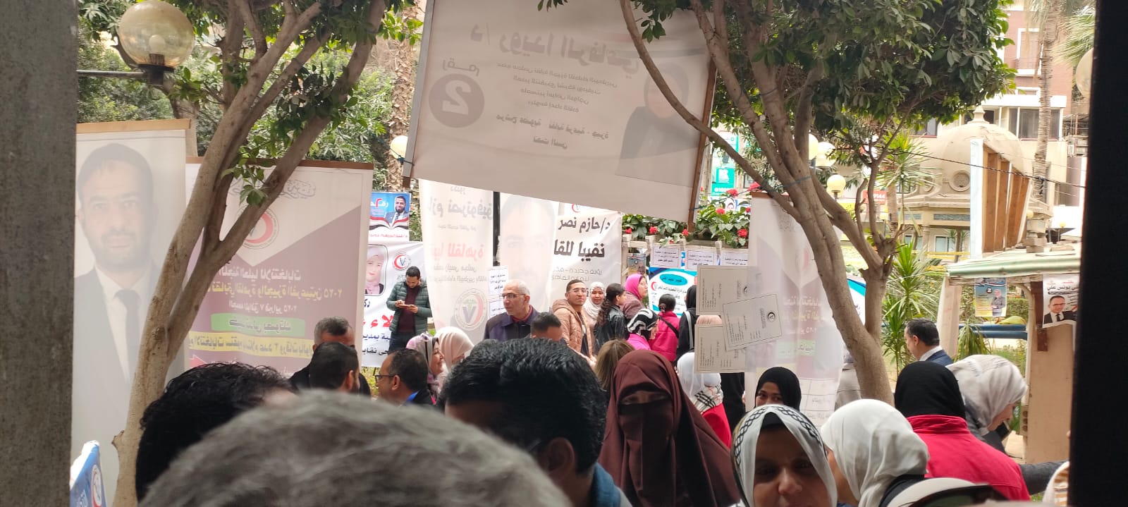 انتخابات البيطريين