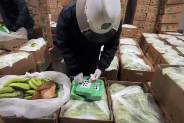 مخدرات فى شحنة الموز