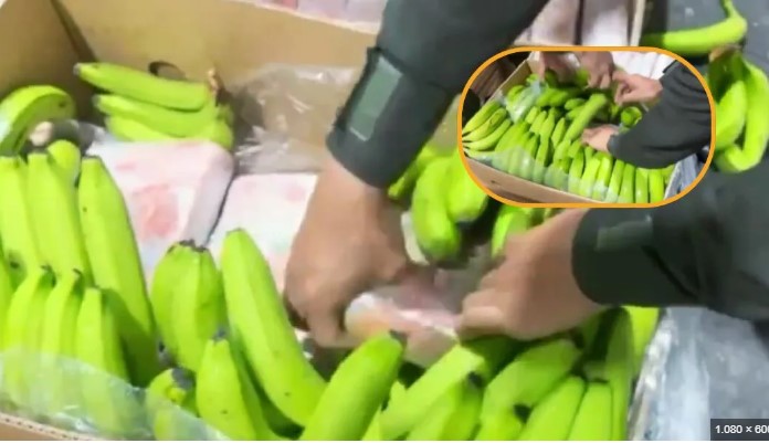 كوكايين فى شحنة موز 