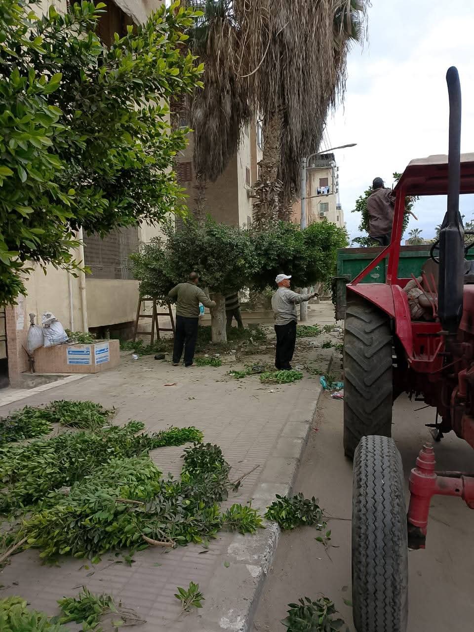 جانب من الحملة جانب من الحملة