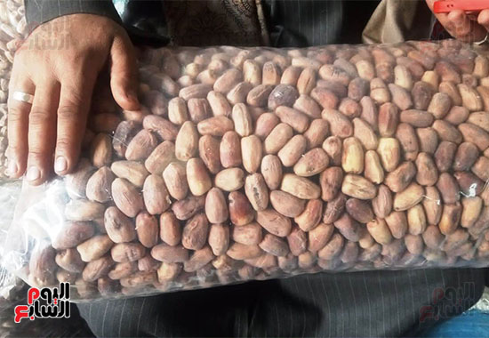 وكالة-الكمونى-بالمحلة-تفتح-أبوابها-أمام-الجمهور--(4)