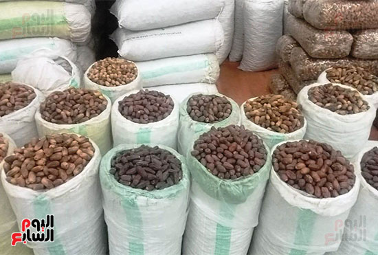 وكالة-الكمونى-بالمحلة-تفتح-أبوابها-أمام-الجمهور--(6)