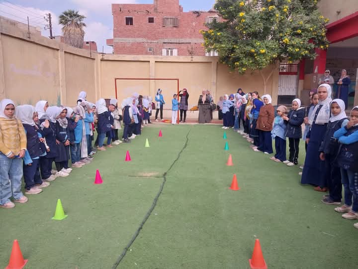 قرية حصة شبشير بطنطا  (4)