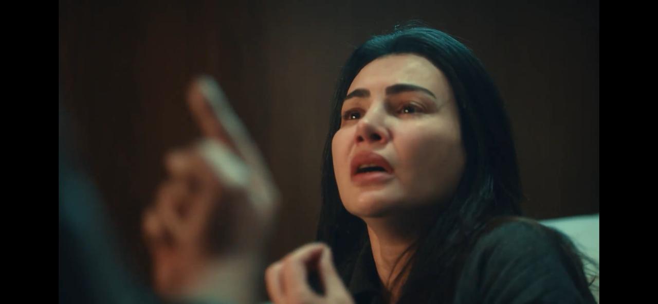 مسلسل حكيم باشا (1)