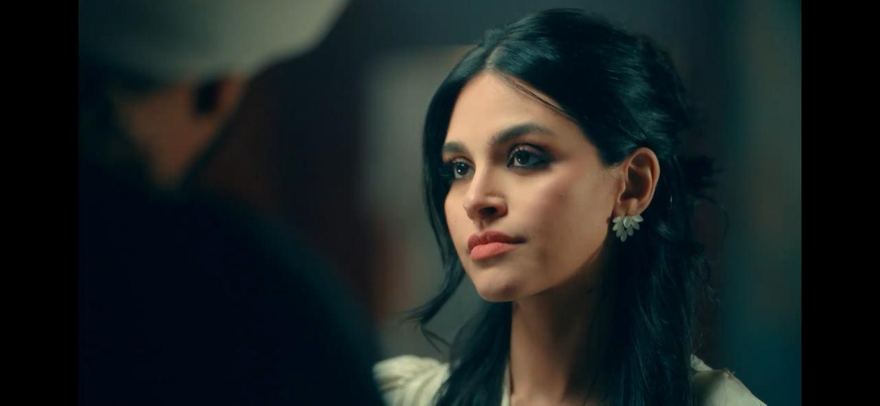 مسلسل حكيم باشا (3)